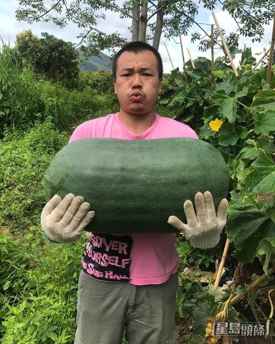 劉海龍身體力行耕種,種瓜得瓜。 劉海龍身體力行耕種,種瓜得瓜。