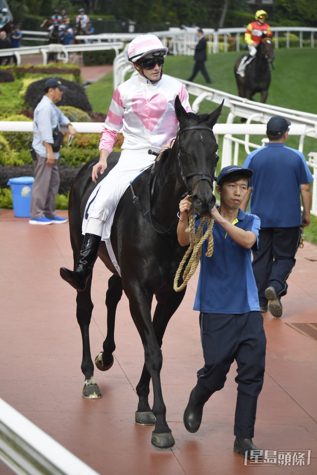 「开心三宝」上仗角逐田草千四米得第二名。