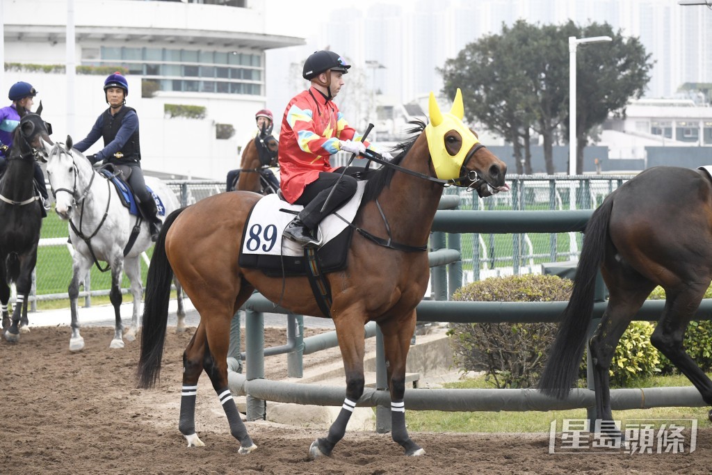 「猛將兄」健步如飛出腳凶狠，身靚毛色悅目。