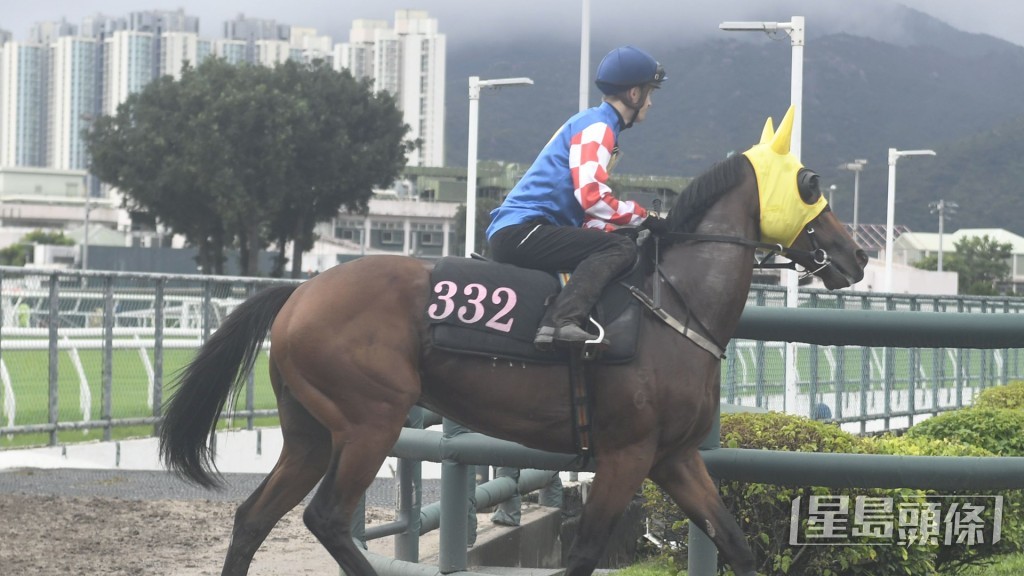 「电讯骄阳」沿途捉到实心火涌现，谷起鸡公颈神态生猛。