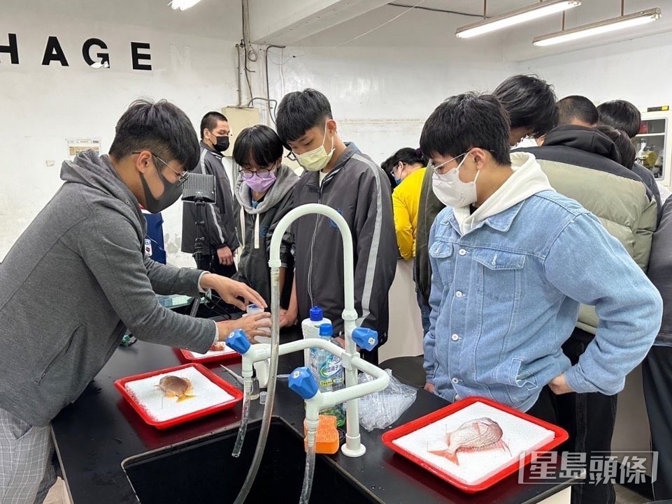 黎諾維在台灣累積海洋教育經驗,返港後回饋社會。 黎諾維在台灣累積海洋教育經驗,返港後回饋社會。