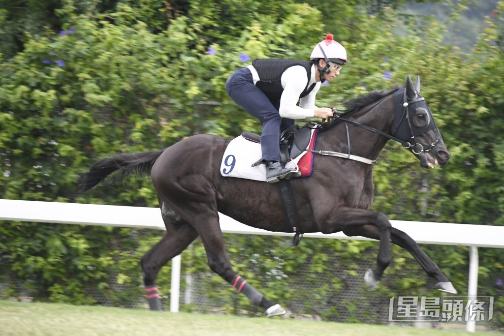 「瑞祺威楓」力度充足暗火湧現，正值最佳水準。