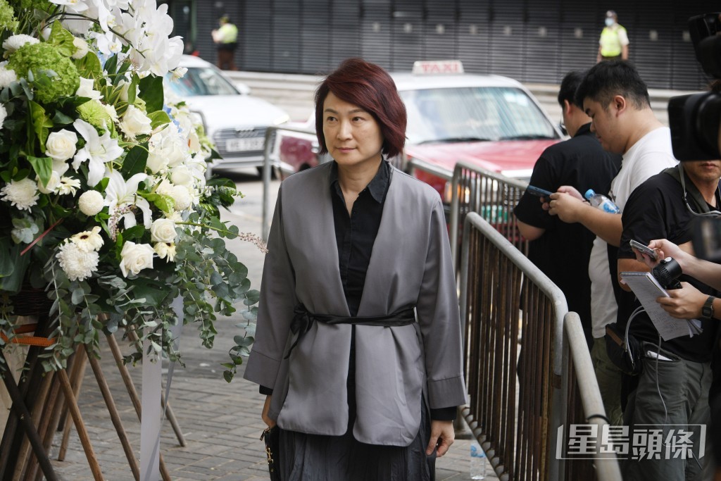 全國人大常委、民建聯李慧琼。 全國人大常委、民建聯李慧琼。