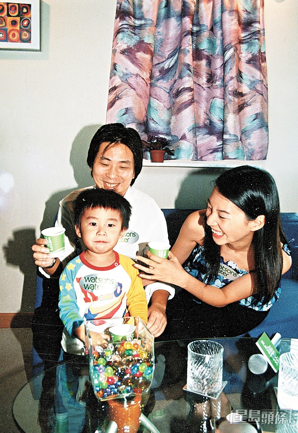 陈伶俐与林敏骢在2008年离婚。
