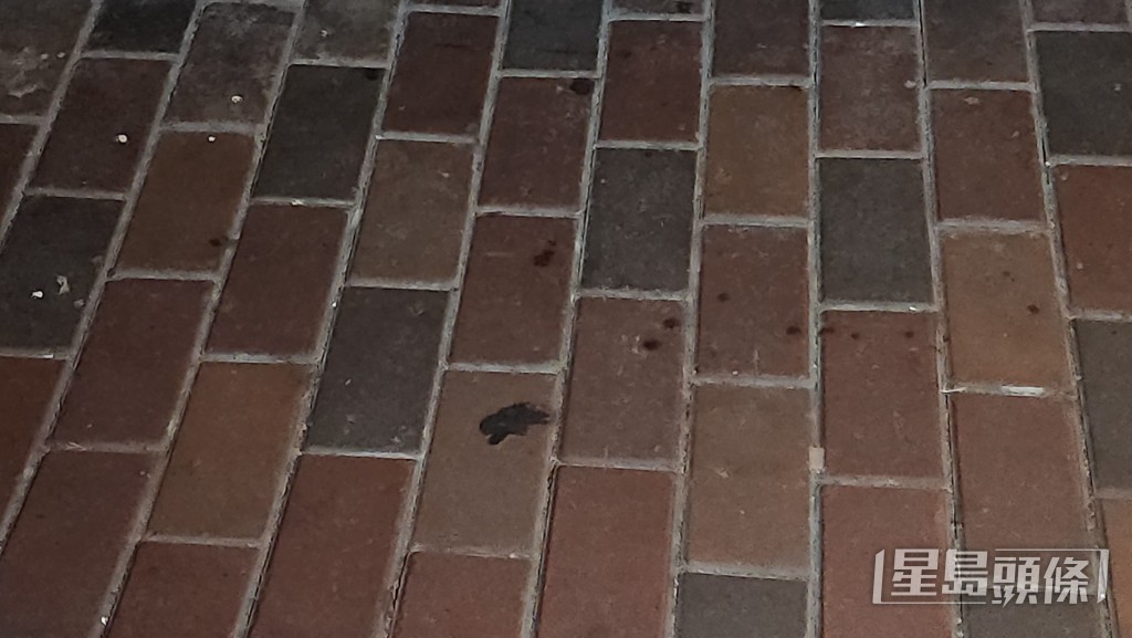 行人路上遺下血迹。黎志偉攝