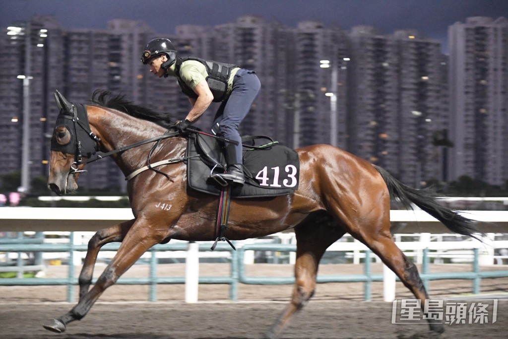 「環球英雄」馬身收得靚力度均勻，神態回旺勇況提升。
