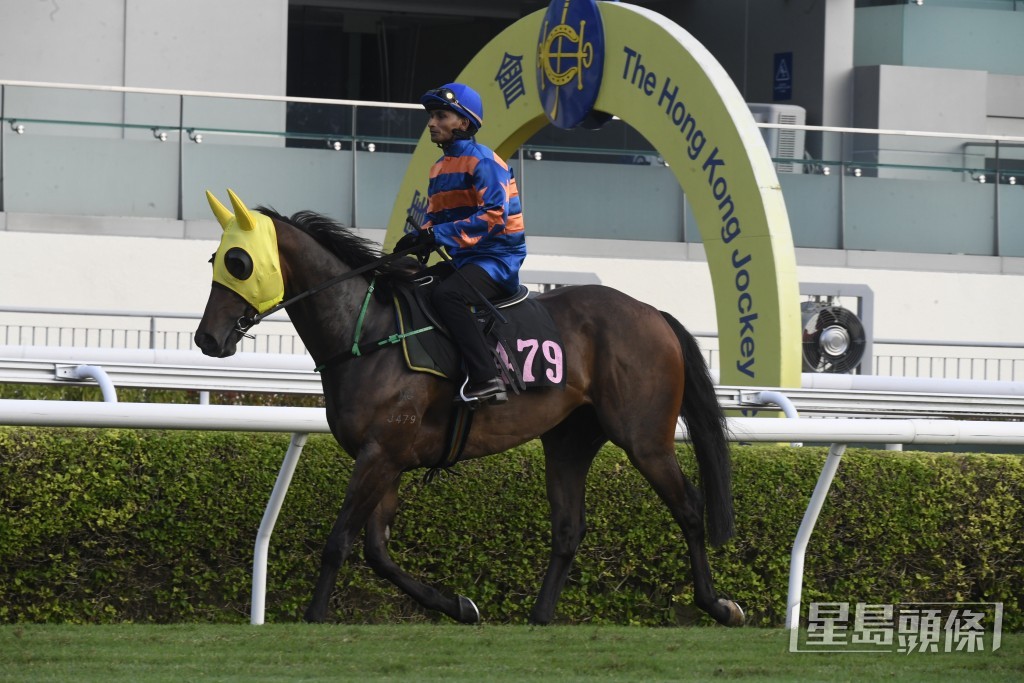 「鼓浪高升」今次牠初跑千二米，只要能發揮出試閘時的水準，便有機會取得三甲一席歸來。