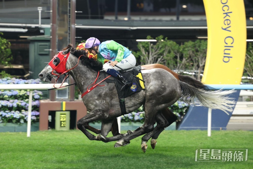 布文策「富喜來」最終以鼻位影贏「夢照發」。 布文策「富喜來」最終以鼻位影贏「夢照發」。