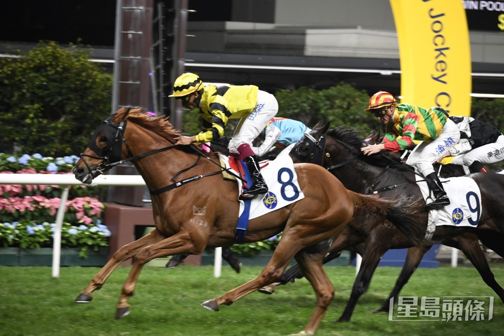 「皇仁福星」周三再跑同程，屆時勢將再次採用主動方式發揮。