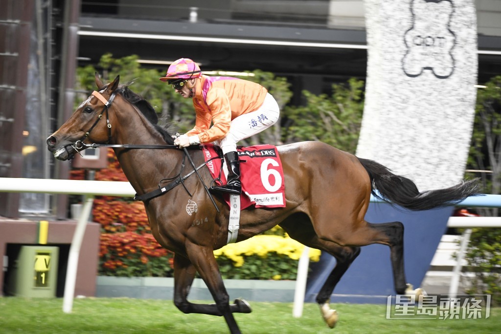 「劲沙尘」」刚战在谷草一六五零米轻松赢出今季第三场马。