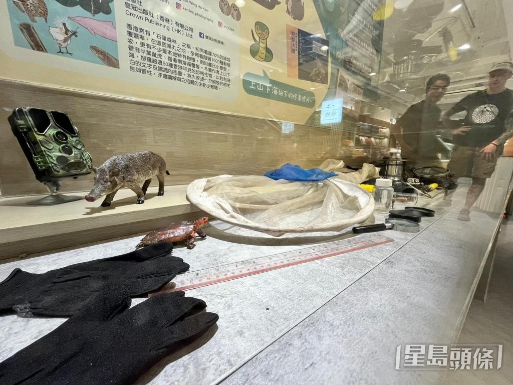 李詠豪定期到郊野考察,發現今年異常乾旱,憂破壞兩棲動物的生境。 李詠豪定期到郊野考察,發現今年異常乾旱,憂破壞兩棲動物的生境。