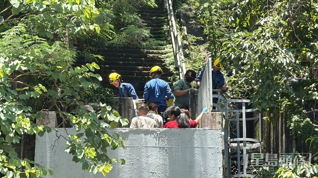 消防及漁護署人員到場。劉漢權攝 消防及漁護署人員到場。劉漢權攝