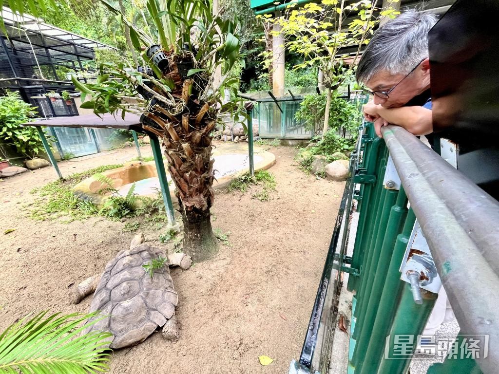 劉惠寧指童年時喜歡到動植物公園，近距離觀察動物行為。