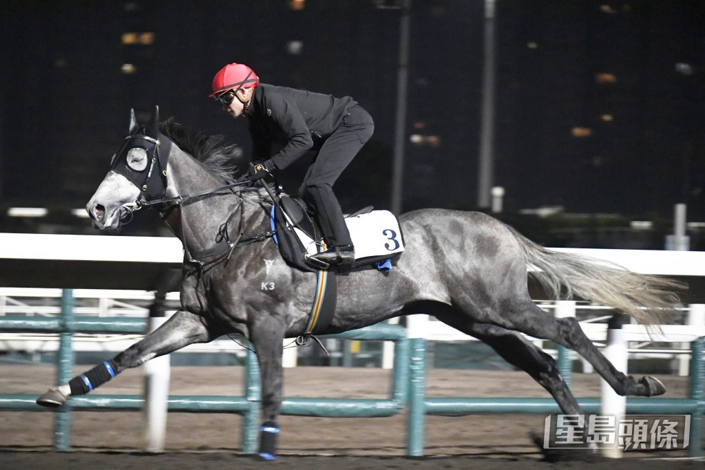 「康昌之星」神情專注目光如炬，勇態保持有餘。