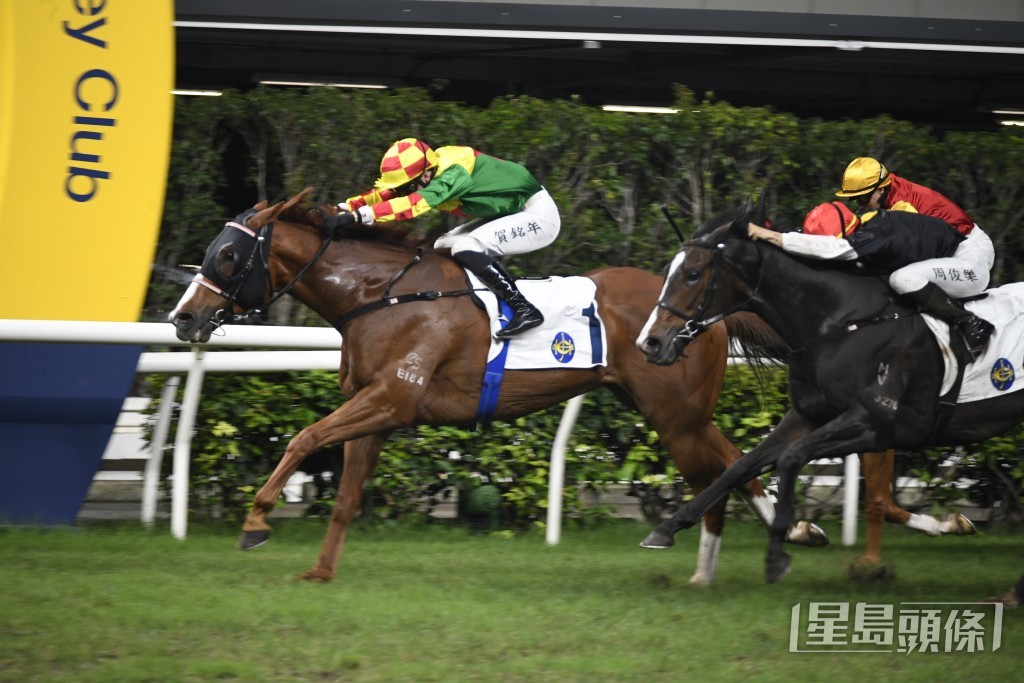 「有鴻利」今次再跑贏馬路程。