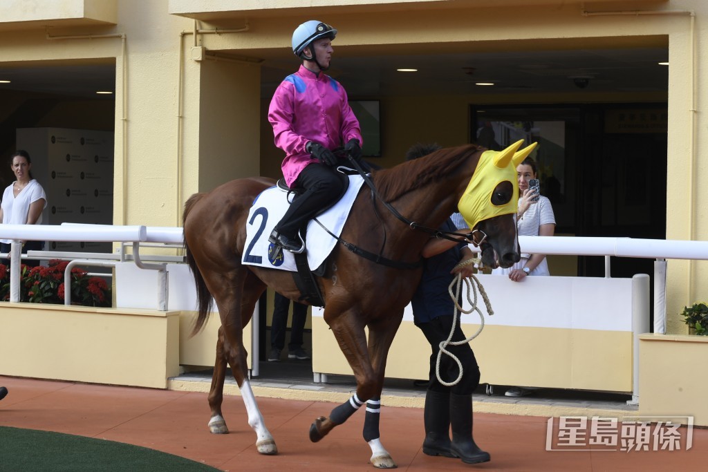 「駿步騰飛」今仗有條件爭取連捷。