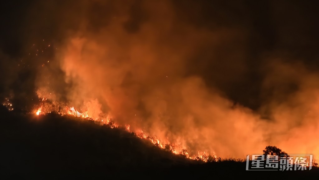 綿延火龍染紅夜空。黃文威攝