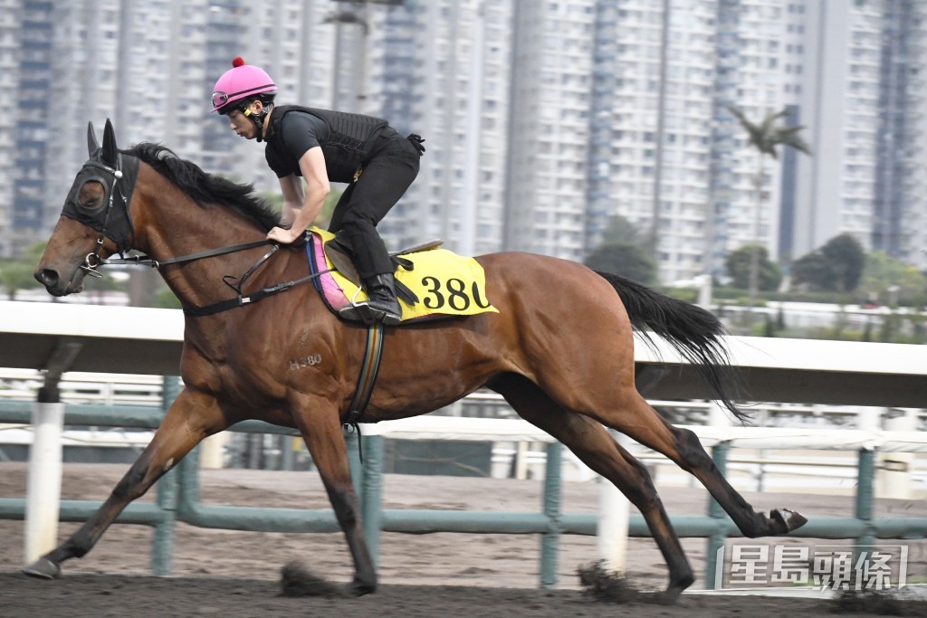 「勁速威龍」用暗力拉實，勝後有進無退。