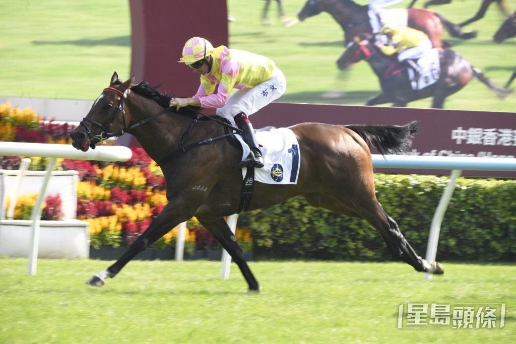 「做好自己」上季至今由霍宏声策骑出赛六次，取得一冠两亚两季。