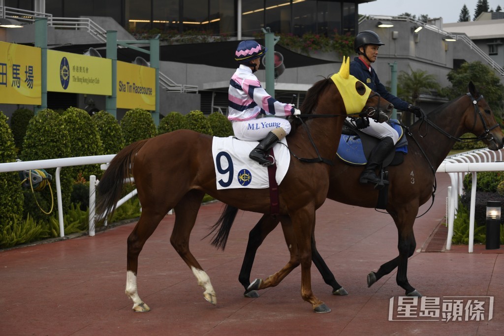 「福祐神州」再跑千六米，是今場爭勝分子。
