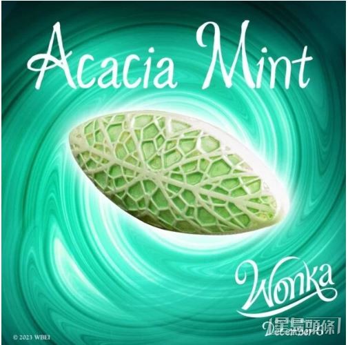 金合歡薄荷糖 Acacia Mint， 令長頸鹿心情變好的朱古力！