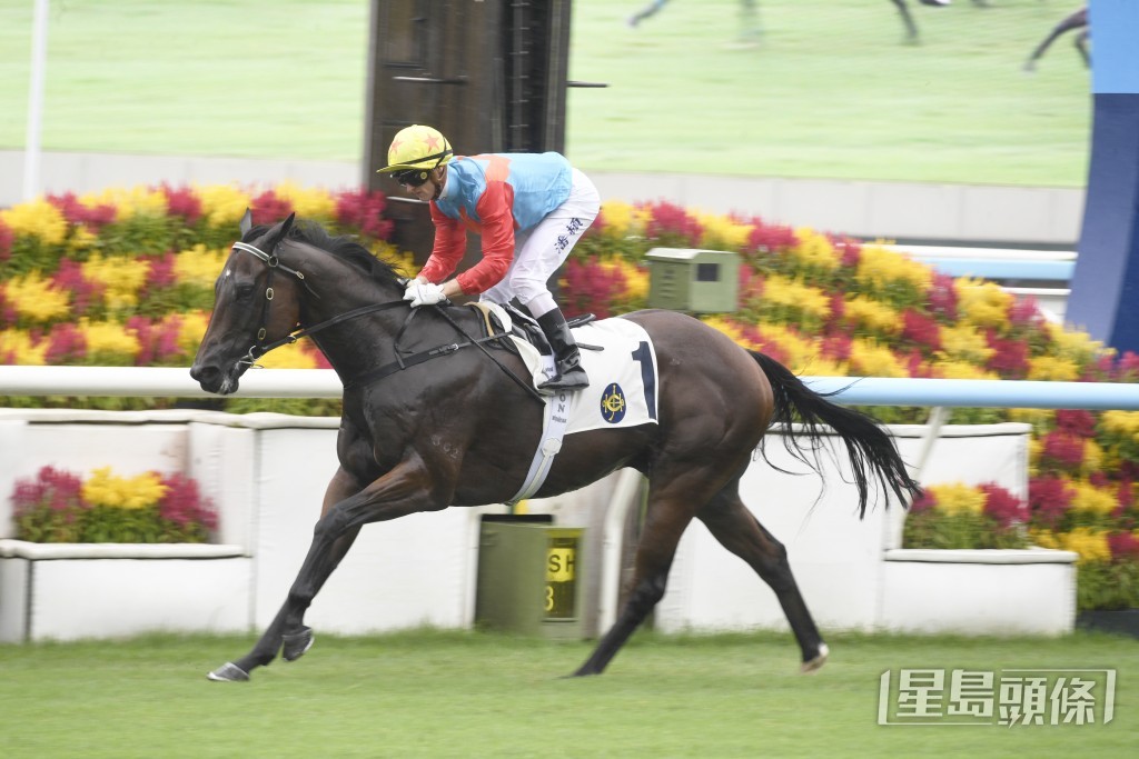 「嘉应高升」至今已连胜十四场。