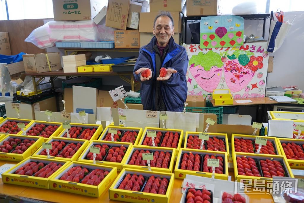 日本岐阜縣的「奧田農園」已經獲得出口許可，園主正計劃出口其培植的「美人姬」草莓至香港、台灣及泰國市場。