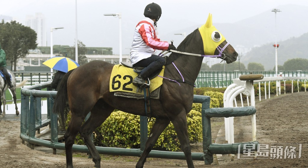 「博才」今次做足準備而來，勇態保持有餘，形勢大好下，不勝無歸。