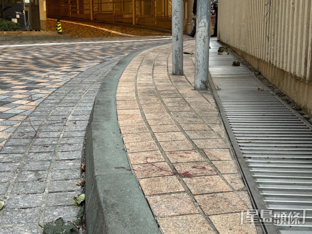 銀湖天峰附近地面有懷疑血跡。