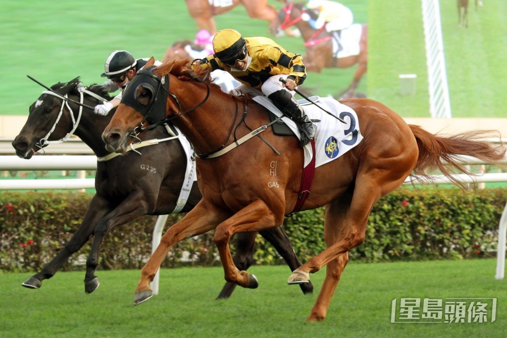 潘明輝最難忘的坐騎是賀賢馬房「威力奔騰」。