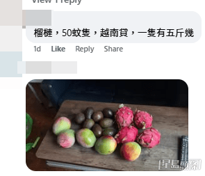 如果非要買水果不可,資深買家教路「最好買不易熟」的品種。(帖文留言截圖) 如果非要買水果不可,資深買家教路「最好買不易熟」的品種。(帖文留言截圖)