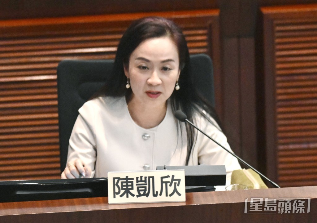 選委界陳凱欣。資料圖片