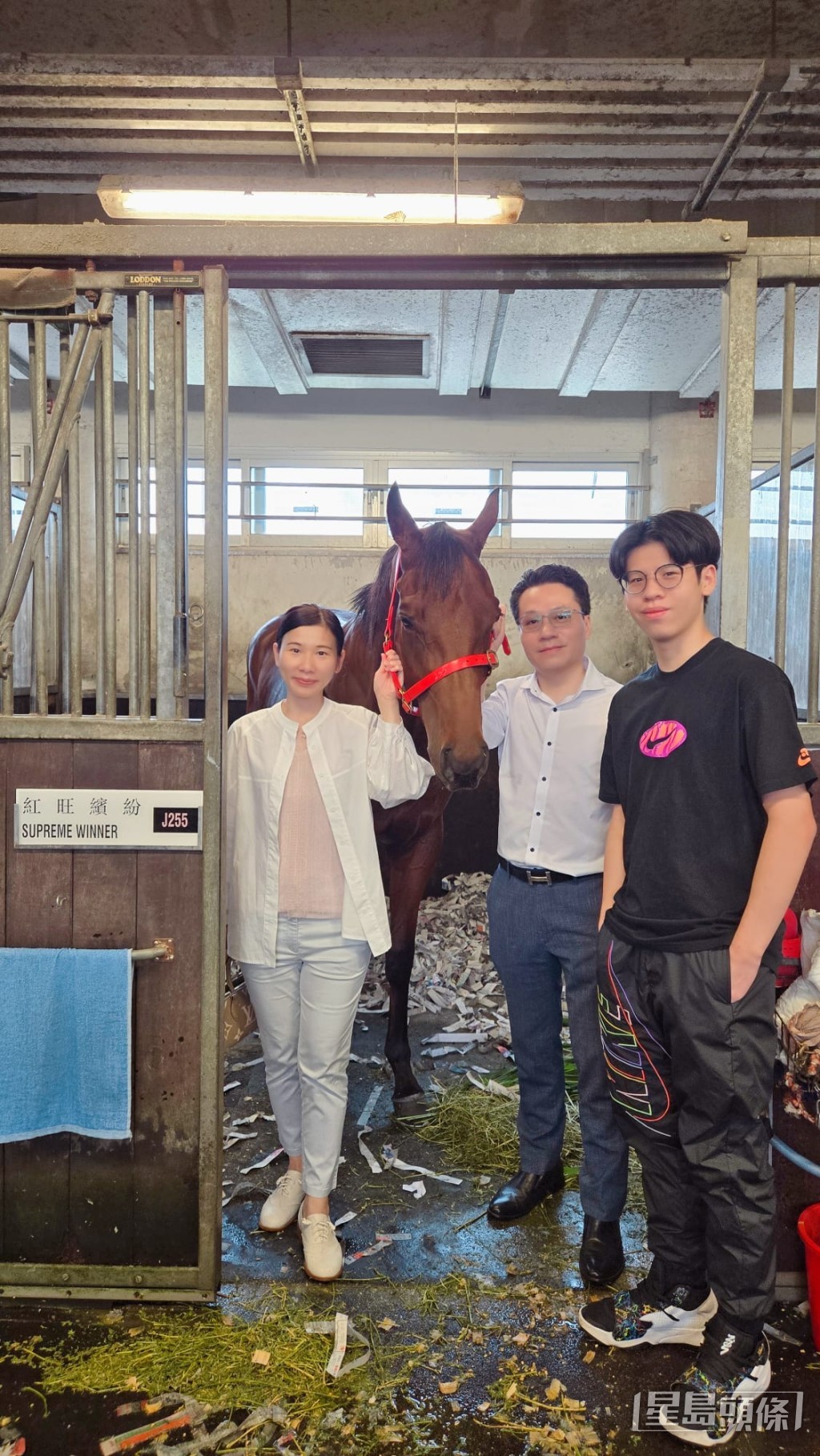 譚健業入倉探望新馬。