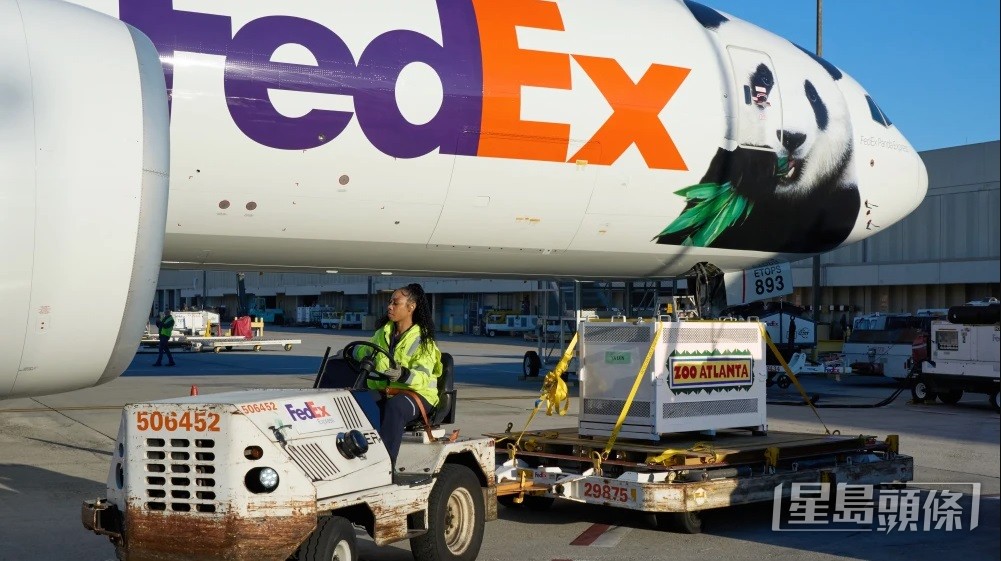 FedEx去年10月接載6隻大熊貓往返中美。