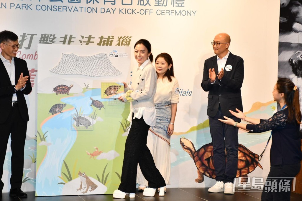 希望大众关注非法捕猎，守护野生淡水龟。