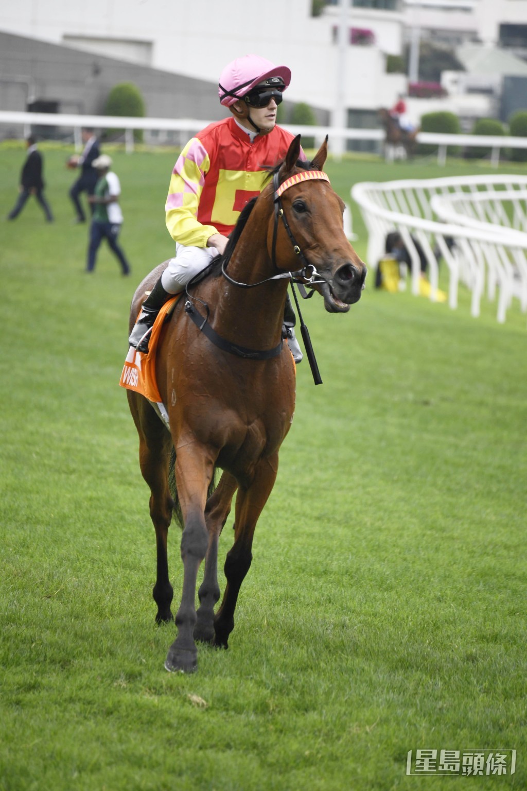 「祝愿」上场在马会一哩锦标跑第四。