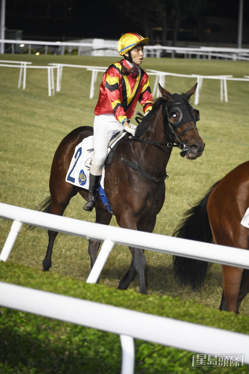 「運來伍寶」上場跑第三，末段追勢不俗。