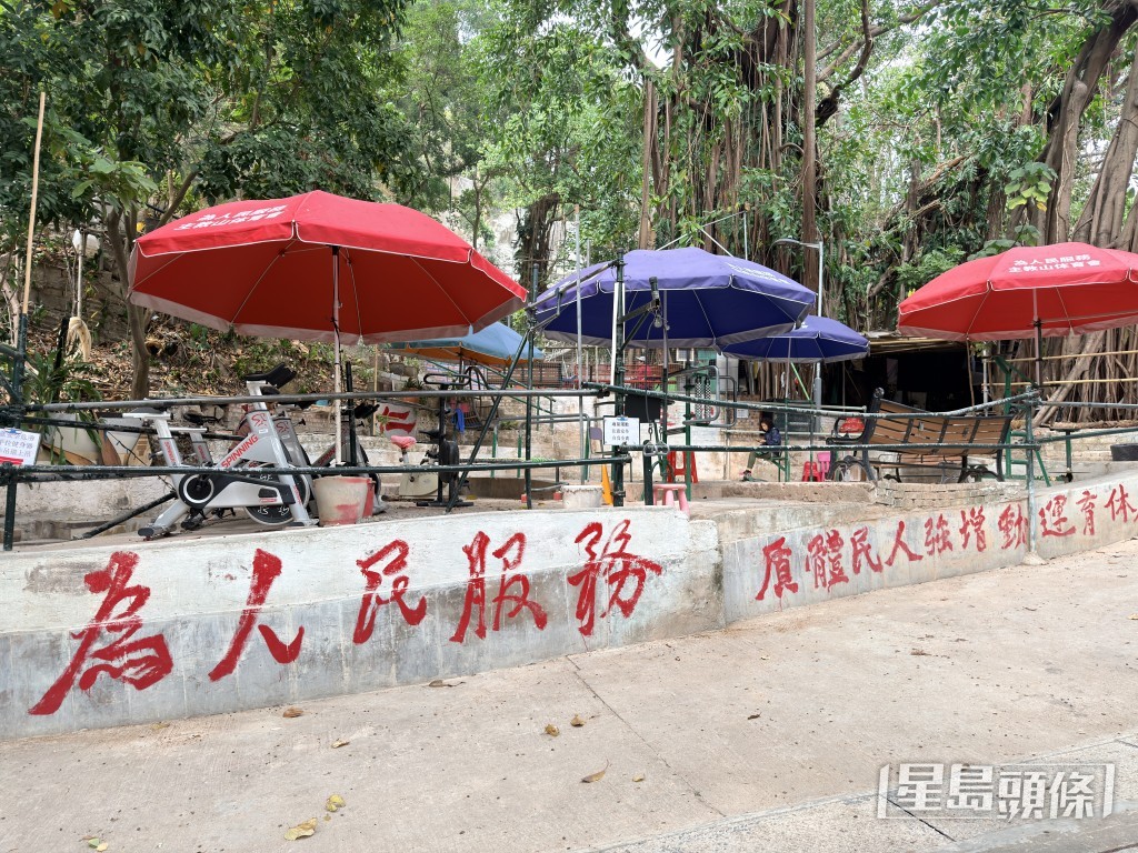 主教山一帶山坡長期被非法開墾僭建。梁國峰攝 主教山一帶山坡長期被非法開墾僭建。梁國峰攝