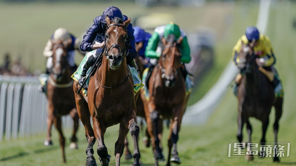 明晚若「名戰古城」能再下一城,將成為歷來第六匹包括打吡和國際錦標的賽駒。 Getty Images 明晚若「名戰古城」能再下一城,將成為歷來第六匹包括打吡和國際錦標的賽駒。 Getty Images