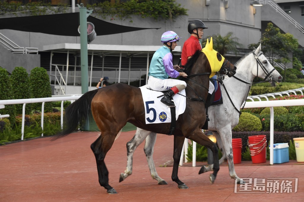 「哈羅威」今仗抽到一檔，如際遇順利當可為威哥衝冠作出貢獻。