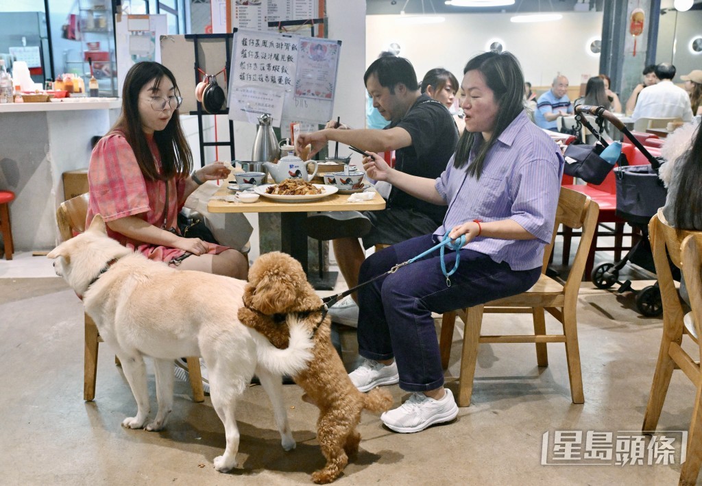 食環署自7月9日實施容許狗隻進入食肆措施實施以來,已向違規的非獲准食肆提出20宗檢控。 食環署自7月9日實施容許狗隻進入食肆措施實施以來,已向違規的非獲准食肆提出20宗檢控。