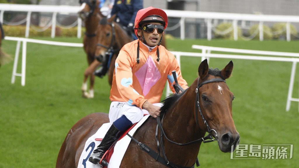 「伶俐驫駒」今季轉投桂廄後，至今八戰取得三冠四亞。