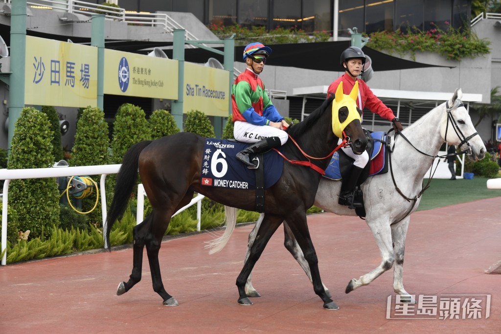 「發財先鋒」上季曾兩奪三級賽錦標，並曾在兩項一級賽中跑入位置。