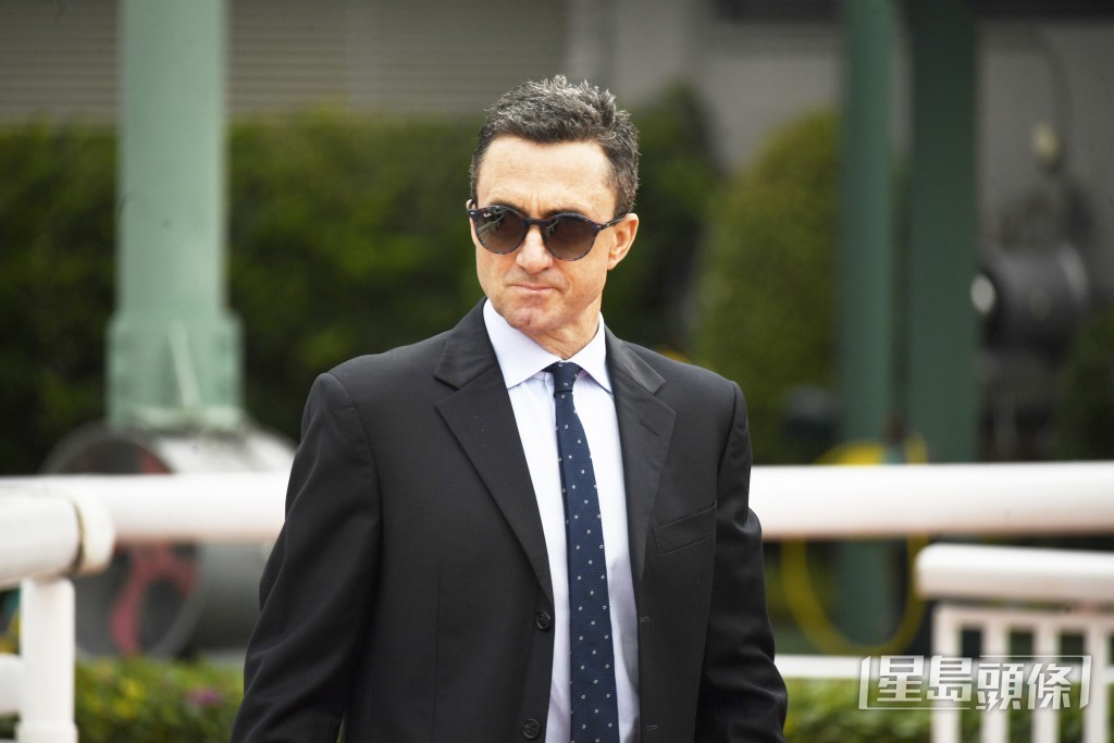 「金鑽精靈」今朝課後韋達趕到馬房閘口接馬，肉緊到極。