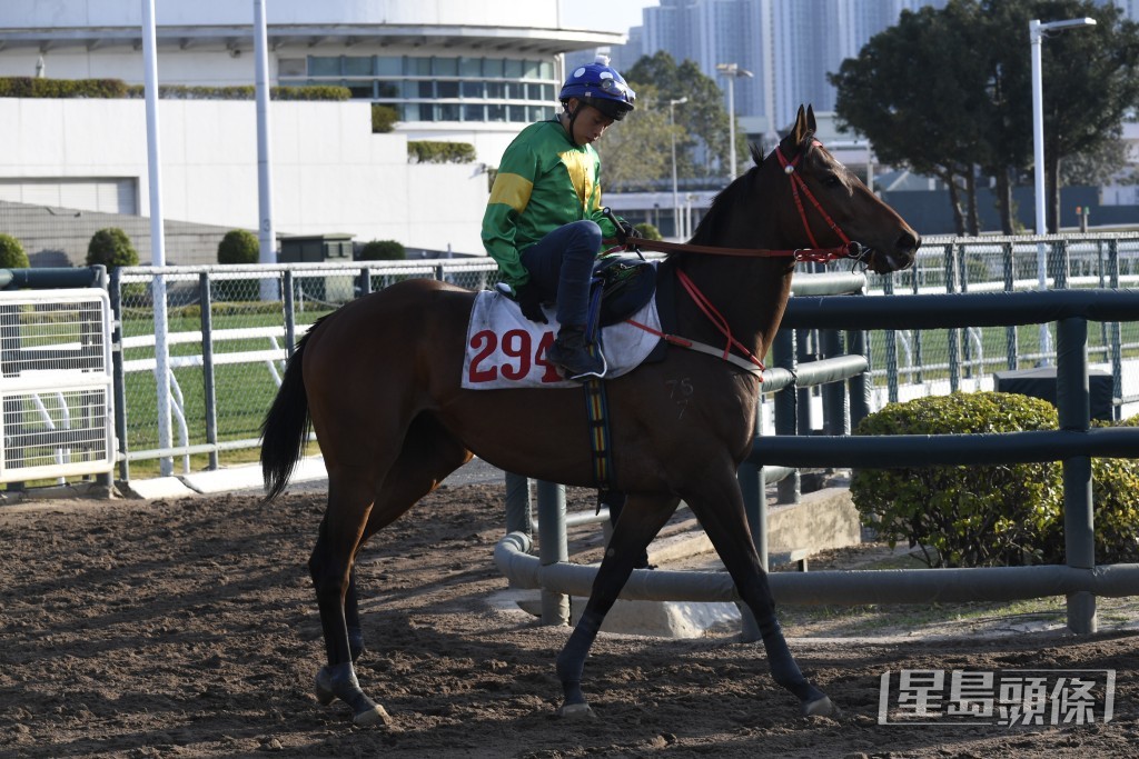 「天天得樂」大前仗轉戰谷草一哩輕勝。