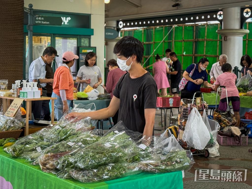 豬君農園負責人Andrew說,所種西瓜及蜜瓜幾乎「全軍覆沒」,料收入較去年同期減半。 豬君農園負責人Andrew說,所種西瓜及蜜瓜幾乎「全軍覆沒」,料收入較去年同期減半。