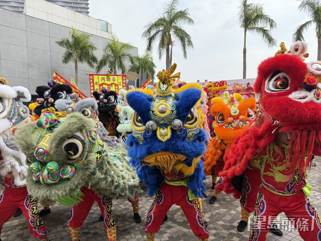 今次參與的龍獅團隊，是來自全球十幾個地區。