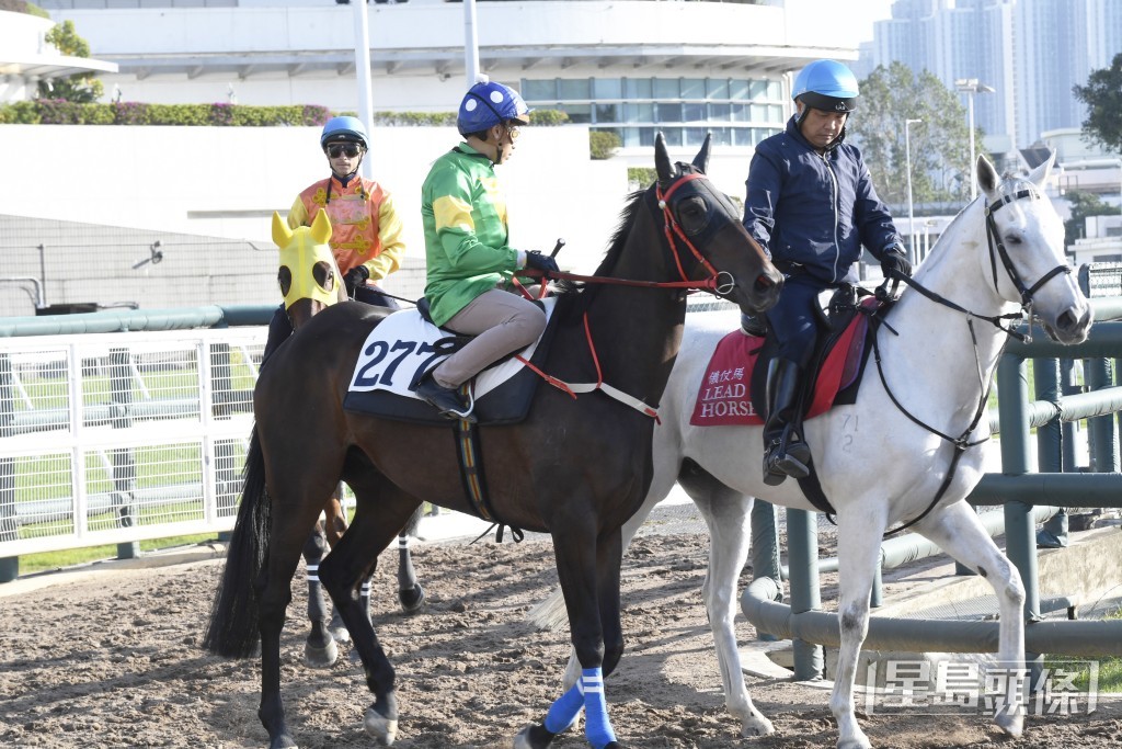 「天天更好」马身极之粗壮，火力又好相当省镜。