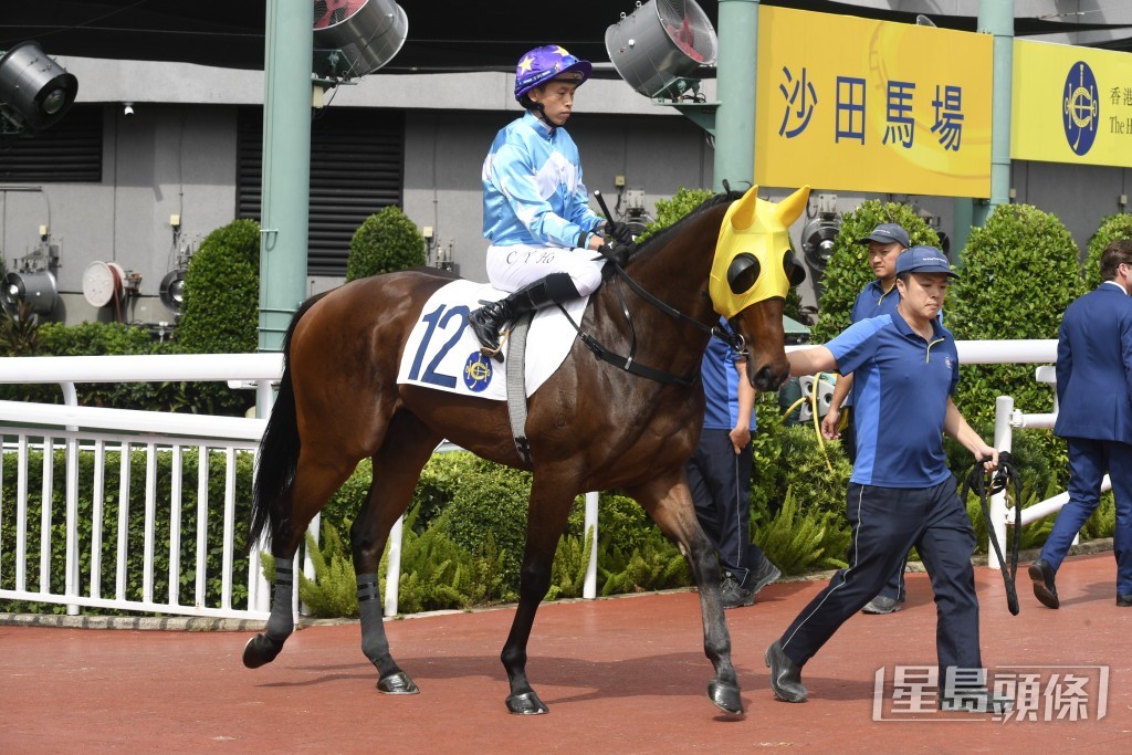 今次「怡昌奇兵」列陣千四米，田泰安表示有望走入前列歸來。