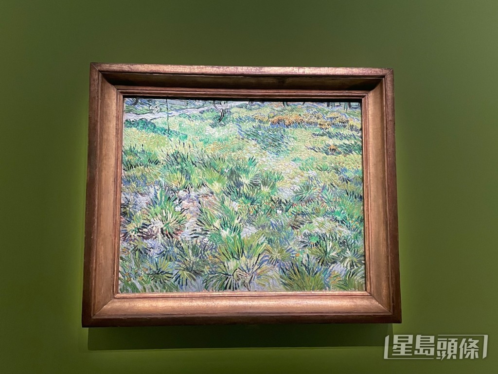 梵高的《長草地與蝴蝶》。蔡思宇攝